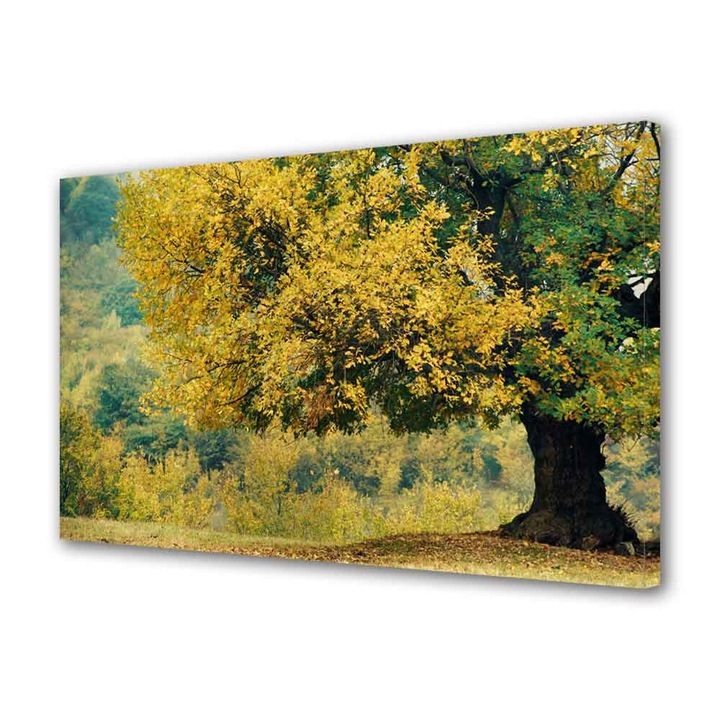 Tablou Canvas Luminos in intuneric VarioView LED Peisaj Copac batran, 30 x 45 cm