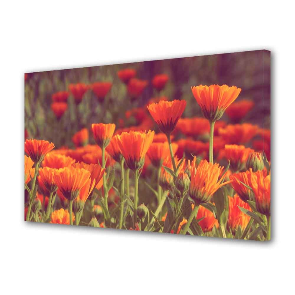 Tablou VarioView MoonLight Fosforescent Luminos in Intuneric Peisaje Flori rosii 60 x 90 cm
