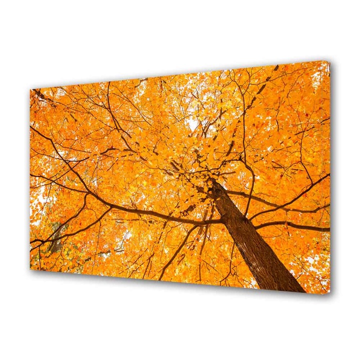 Tablou VarioView MoonLight Fosforescent Luminos in Intuneric Peisaje Coroana galbena 60 x 90 cm