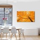 Tablou VarioView MoonLight Fosforescent Luminos in Intuneric Peisaje Coroana galbena 60 x 90 cm