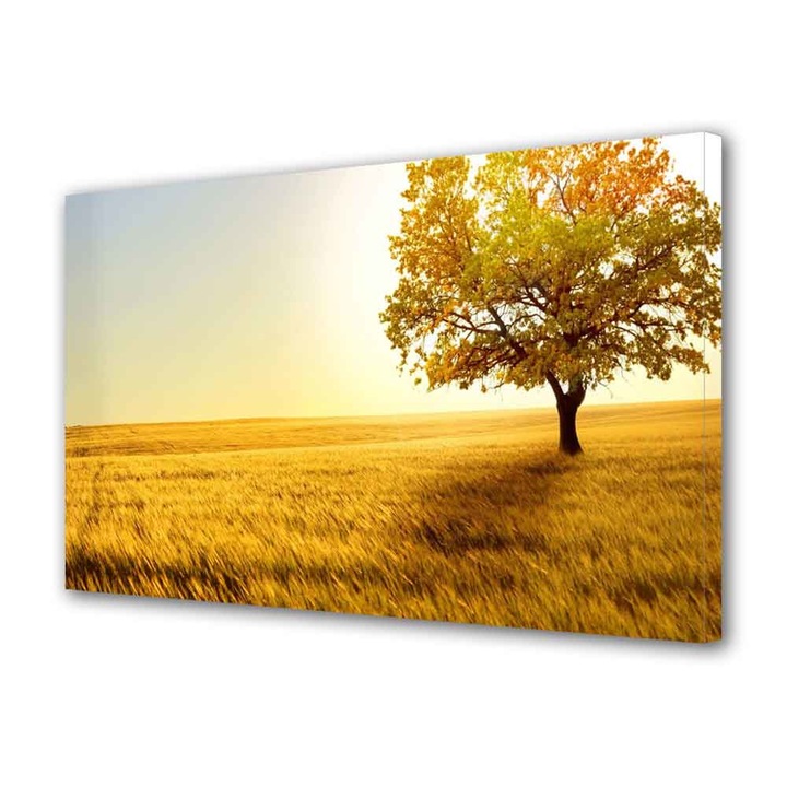 Tablou Canvas Luminos in intuneric VarioView LED Peisaj Copac in umbra, 30 x 45 cm