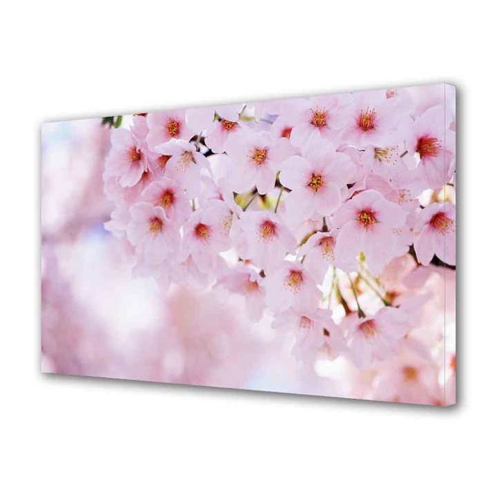 Tablou VarioView MoonLight Fosforescent Luminos in Intuneric Peisaje Buchet de flori roz 60 x 90 cm