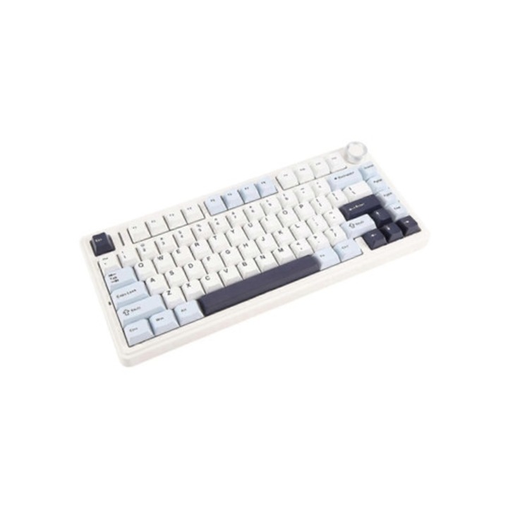 Tastatura mecanica wireless, Hot Swap, PBT, pentru gaming, multicolor