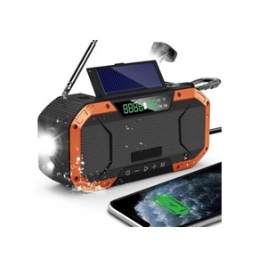 Radio cu ceas & portabile