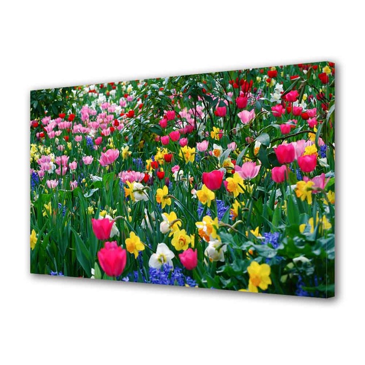 Tablou VarioView MoonLight Fosforescent Luminos in intuneric Peisaje Flori inghesuite 20 x 30 cm