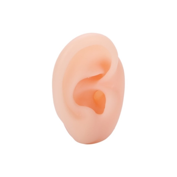 Model ureche din silicon pentru demonstrarea aparatelor auditive, dreapta