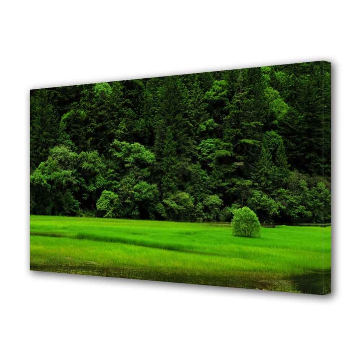 Tablou VarioView MoonLight Fosforescent Luminos in Intuneric Peisaje Copacel pe campie 70 x 100 cm