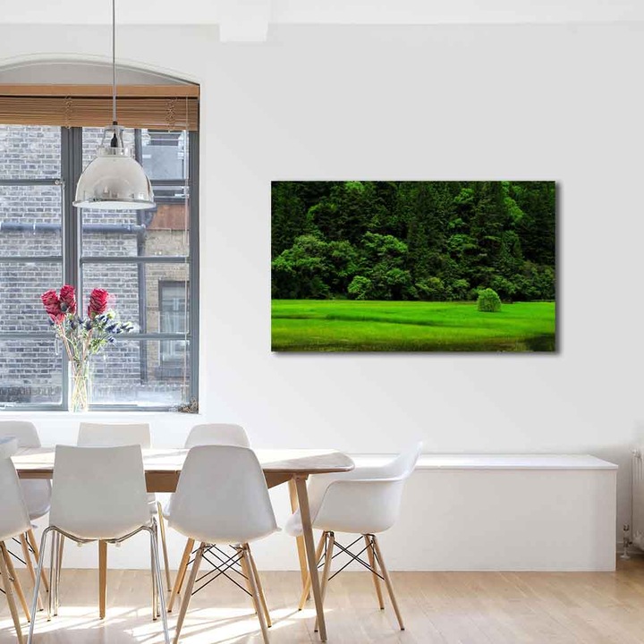 Tablou VarioView MoonLight Fosforescent Luminos in Intuneric Peisaje Copacel pe campie 70 x 100 cm