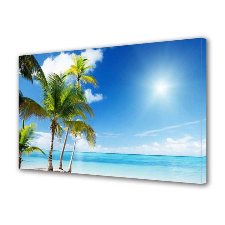 Tablou VarioView MoonLight Fosforescent Luminos in Intuneric Peisaje Palmieri 30 x 45 cm