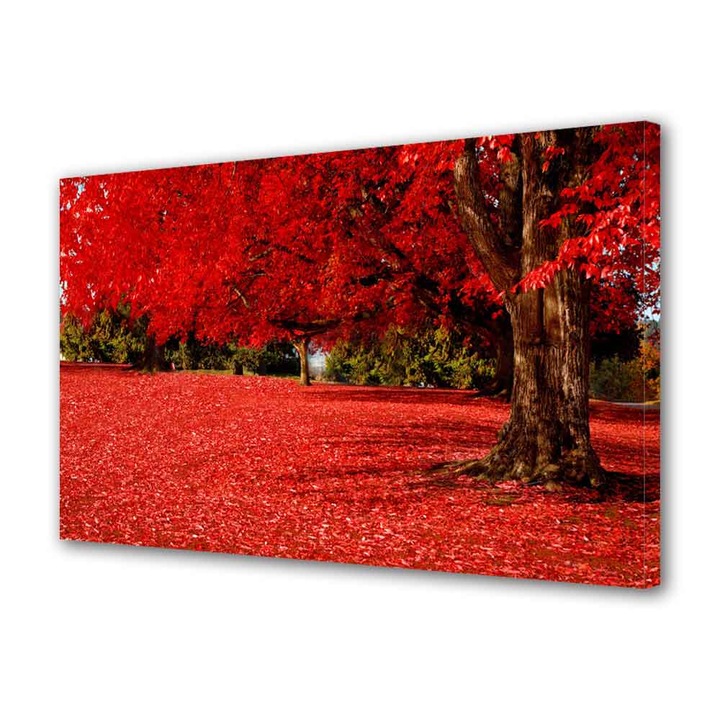 Tablou VarioView MoonLight Fosforescent Luminos in intuneric Peisaje Covor rosu sub copac 20 x 30 cm