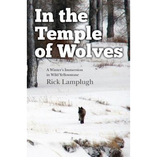 In the Temple of Wolves: A Winter's Immersion in Wild Yellowstone, Rick Lamplugh (Author)