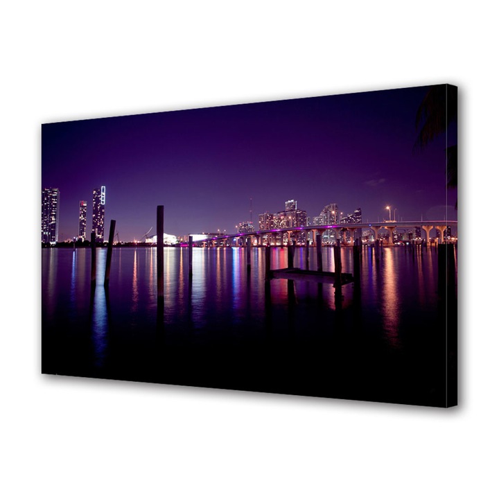 Tablou VarioView MoonLight Fosforescent Luminos in Urban Orase Miami USA, 20 x 30 cm