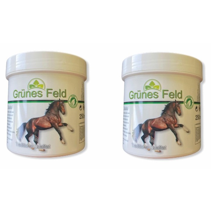 Crema antireumatica Puterea Calului, Grunes Feld, Set 2 x 250 ml