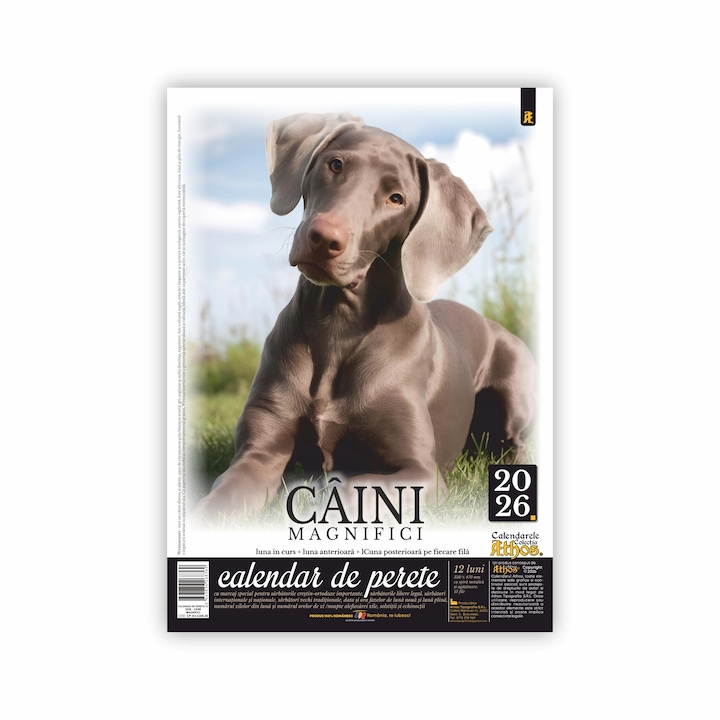 Calendar de perete 2026, Caini magnifici, format X3, 33 x 47 cm, 13 file