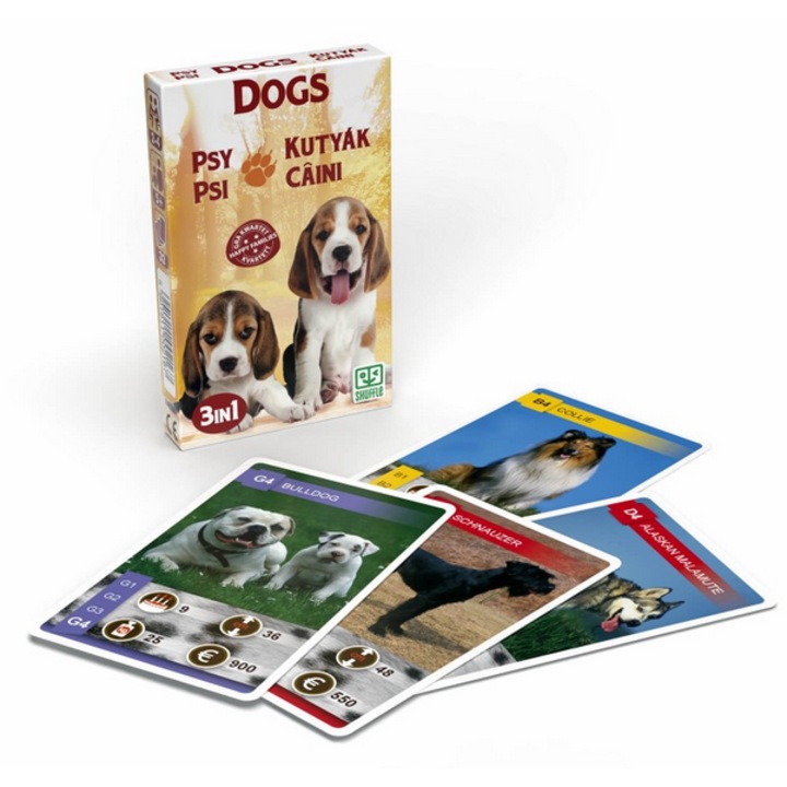 Set 3 jocuri cu carti intr-un singur pachet - Tema Catei