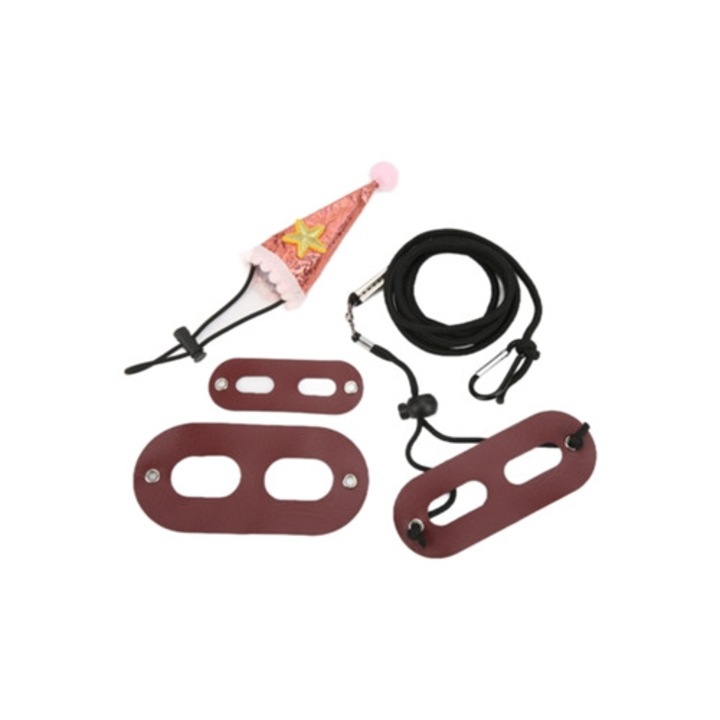 Set de zgarda si lesa din piele, pentru soparle cu palarie de ziua de nastere