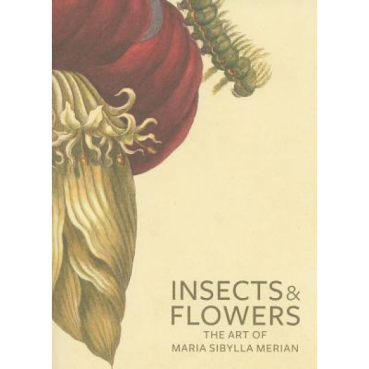 Insects & Flowers: The Art of Maria Sibylla Merian, Stephanie Schrader, David Brafman