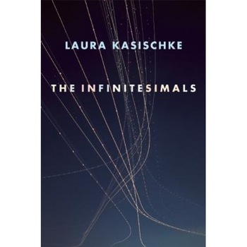The Infinitesimals, Laura Kasischke (Author) The Infinitesimals, Laura Kasischke (Author)