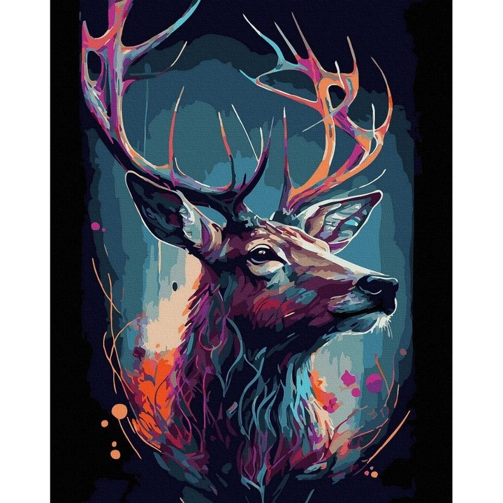 Set pictura pe numere, Twoje Hobby, cerb colorat, 40x50cm