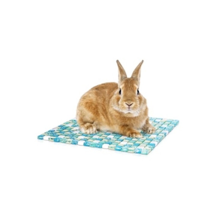 Culcus racoritor pentru hamstere / iepuri, 30x30cm, set