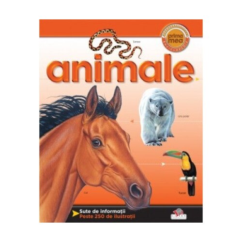 Animale. Prima mea enciclopedie - Denise Ryan