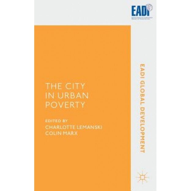 The City in Urban Poverty - Charlotte Lemanski (Editor)