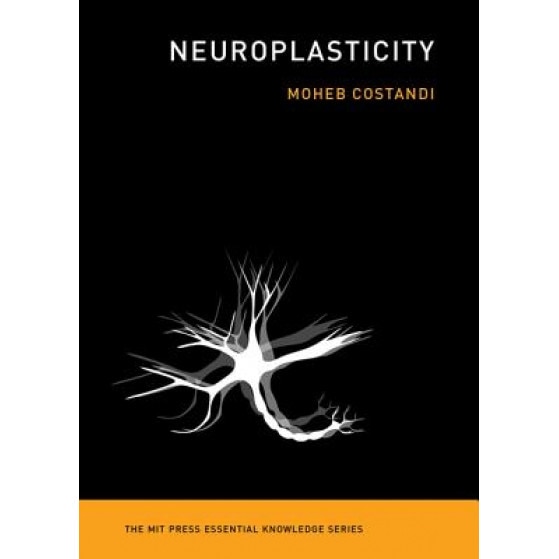 Neuroplasticity, Moheb Costandi (Author)