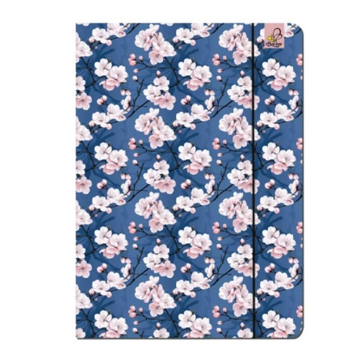 Set 5 dosare A4, multicolor