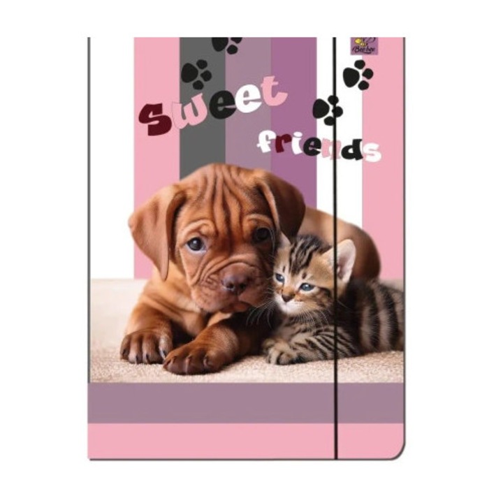 Set 5 dosare A4, multicolor