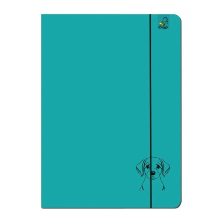 Set 5 dosare A4, turcoaz, dimensiuni A4