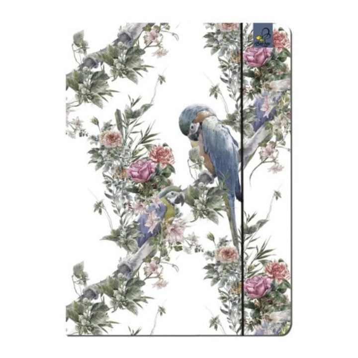 Set dosare A4, 5 bucati, multicolor