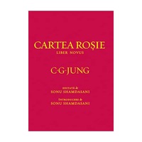 cartea rosie - carl gustav jung imagen 11_0_
0