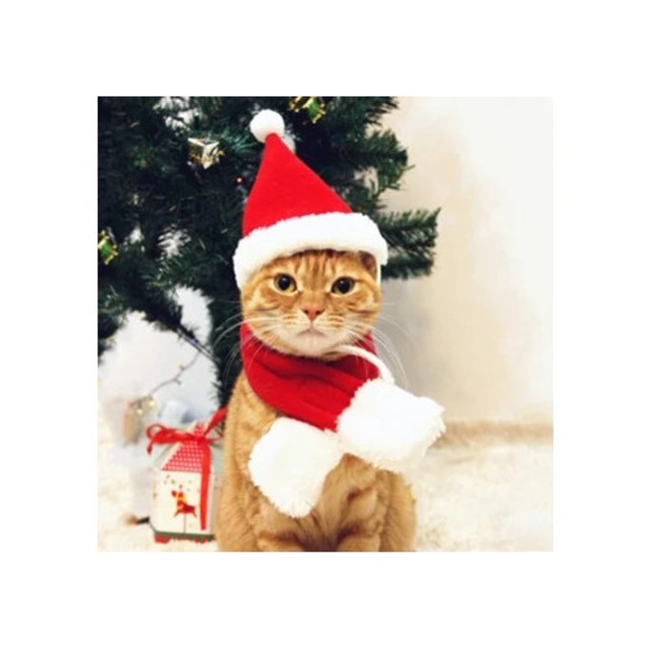 Costum de Craciun pentru animale de companie, design cu banda magica, moale, set