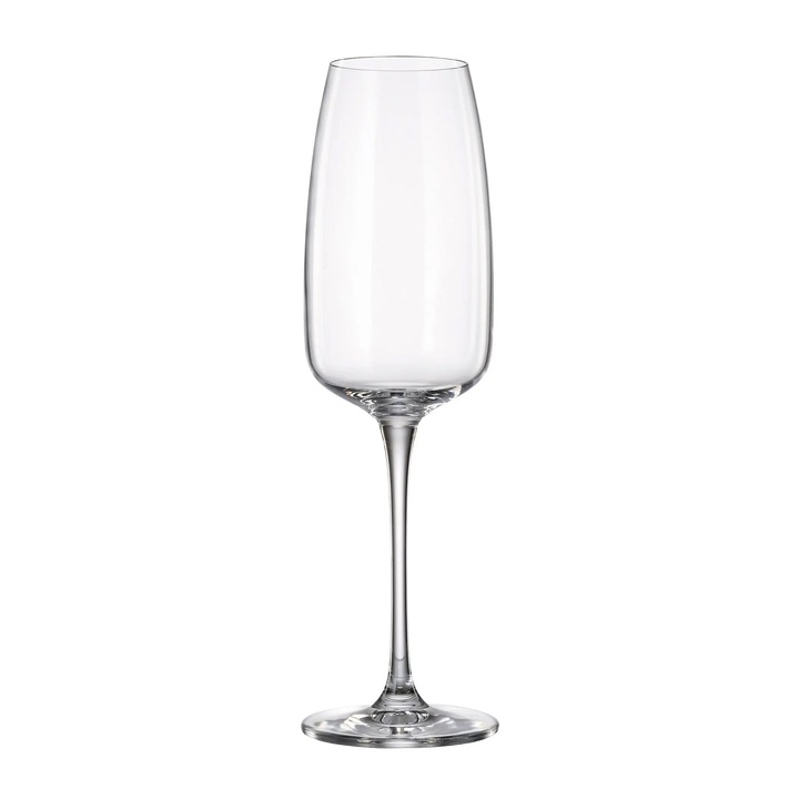 Set 6 pahare sampanie Crystal Bohemia Anas 290 ml transparent