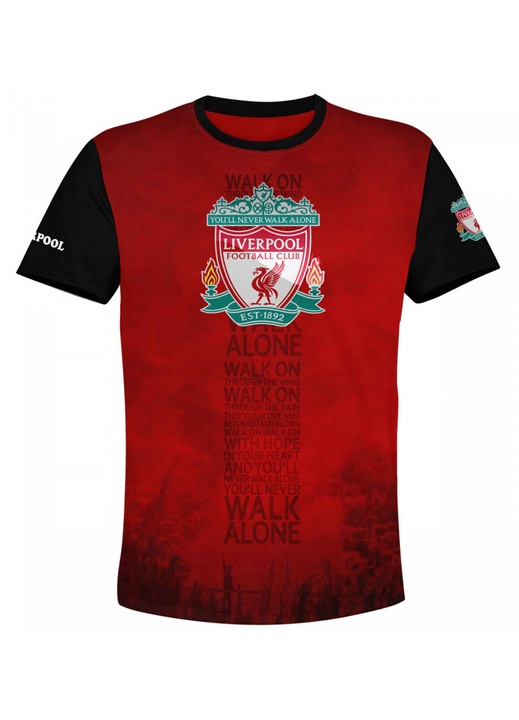 Férfi póló Liverpool 114.73, rövid ujjú, sokszínű