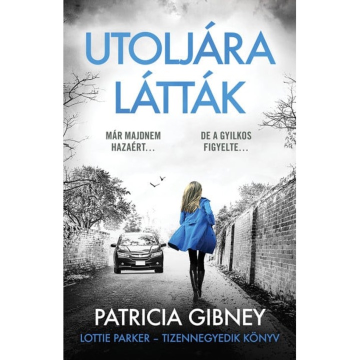 Patricia Gibney: Utoljára látták - Lottie Parker 14