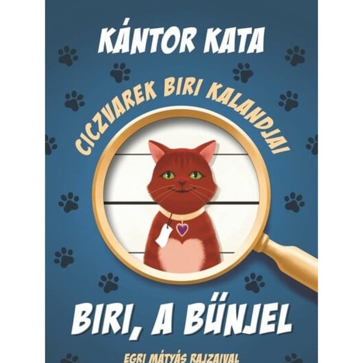 Kántor Kata: Ciczvarek Biri kalandjai - Biri, a bűnjel