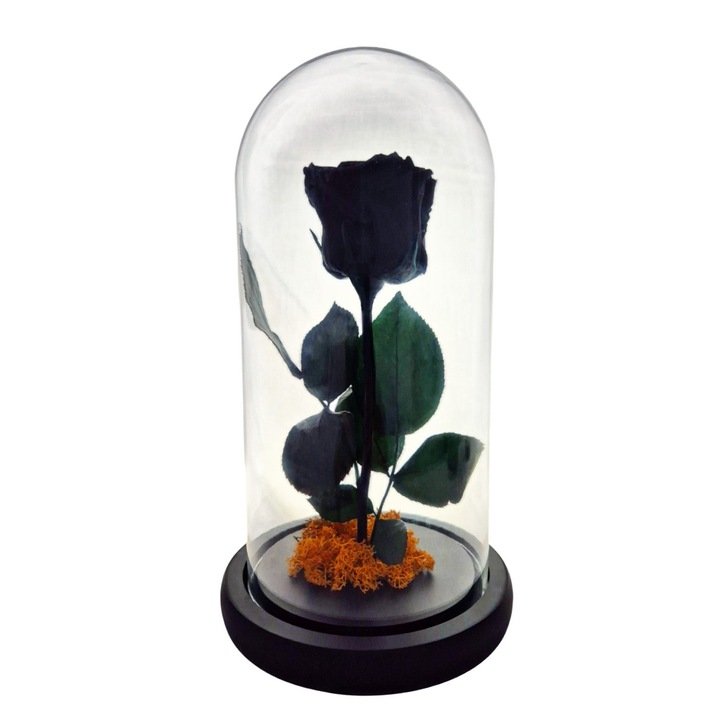 Cupola de sticla cu trandafir criogenat Negru, coada criogenata si licheni portocalii – 25 x 12 cm – FloraVellé