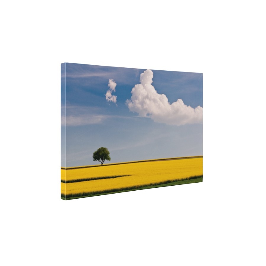 Peisaj de vara - Tablou Canvas - 60x75 cm