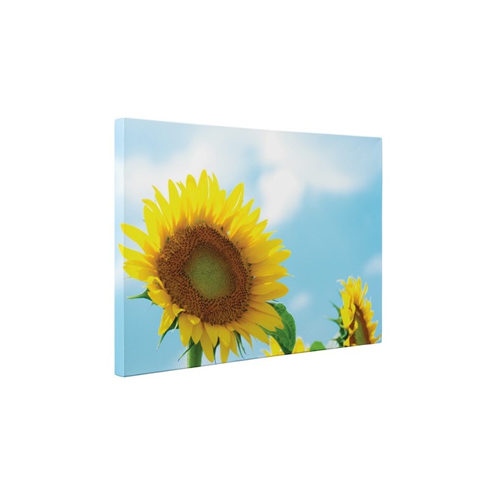 O floare, o raza de soare - Tablou Canvas - 50x65 cm