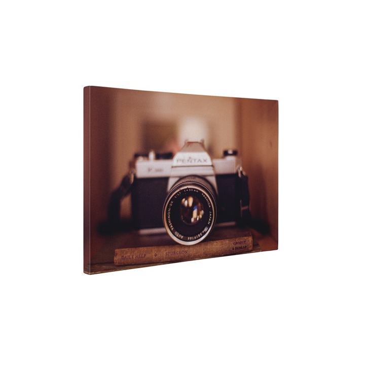 Aparat foto Pentax - Tablou Canvas - 85x110 cm