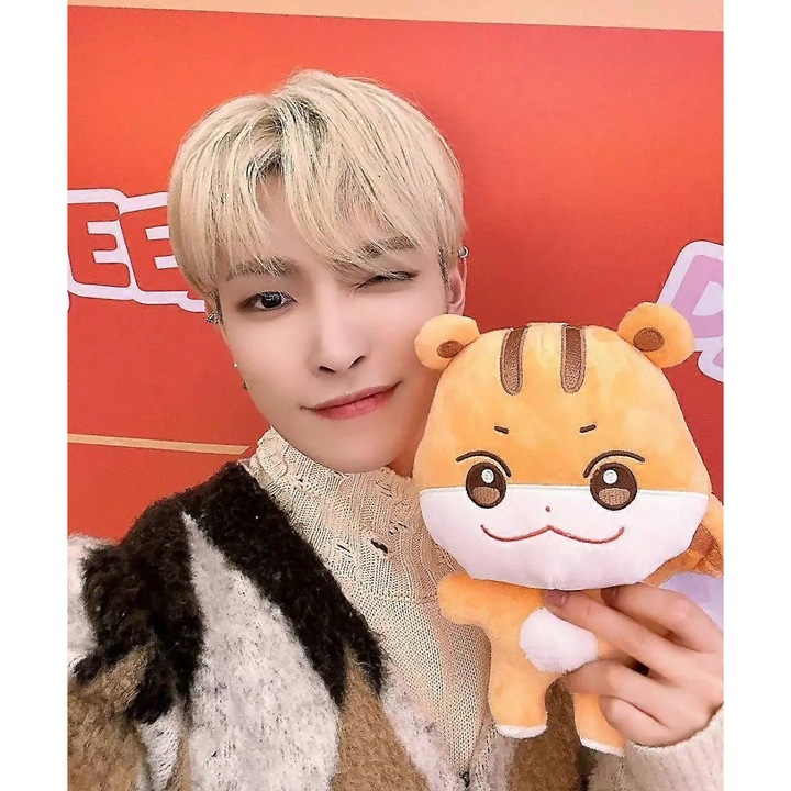 Jucarie de plus, ATEEZ, Aniteez, 25cm, multicolor, set 1/8