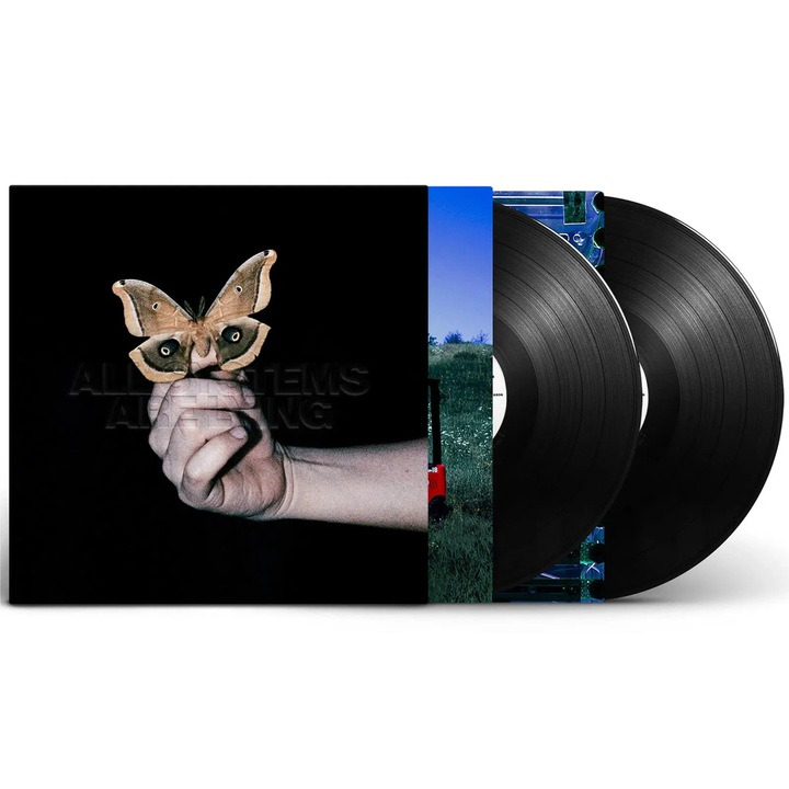 Soulwax: All Systems Are Lying, Vinyl (LP), 2 bucati, muzica electronica