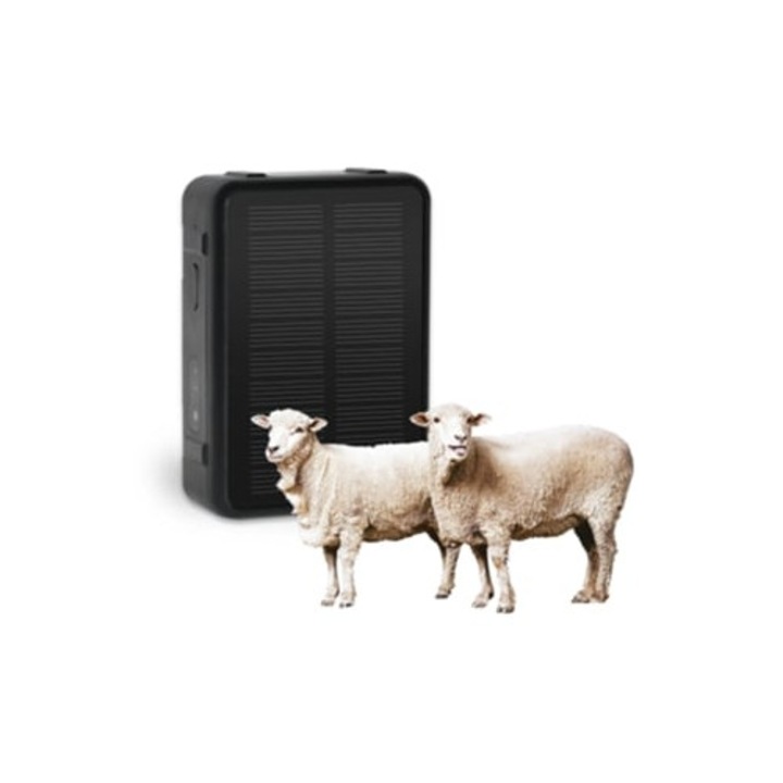 Dispozitiv anti-pierdere GPS Rf-V44 pentru vite, oi, cai, solar, 4G
