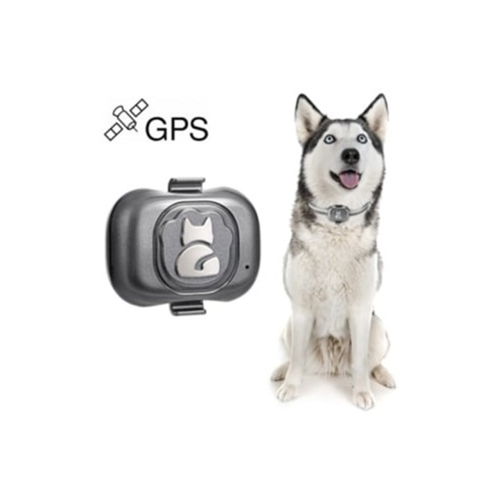 GPS устройство против загуба, за домашни любимци G16, водоустойчиво, за кучета и котки