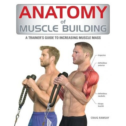 Anatomy of Muscle Building: A Bodybuilder's Guide to Increasing Muscle Mass, Craig Ramsay