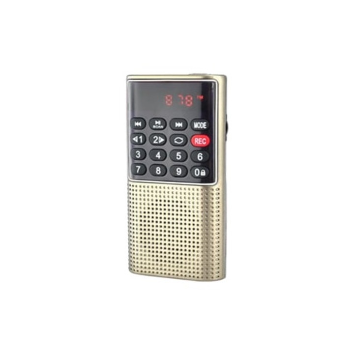 Radio Wireless 1235, sunet clar, auriu, portabil