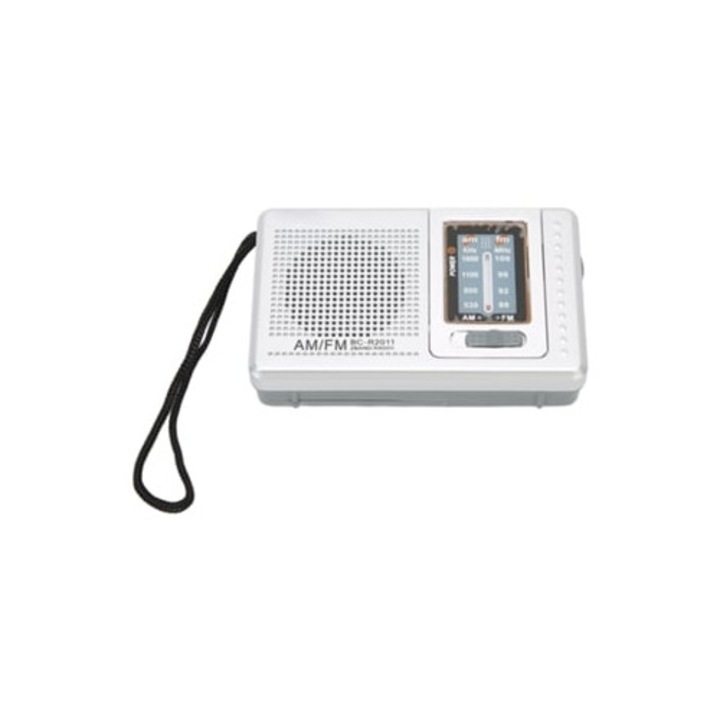 Radio portabil cu difuzor incorporat, Slowmoose, gri argintiu