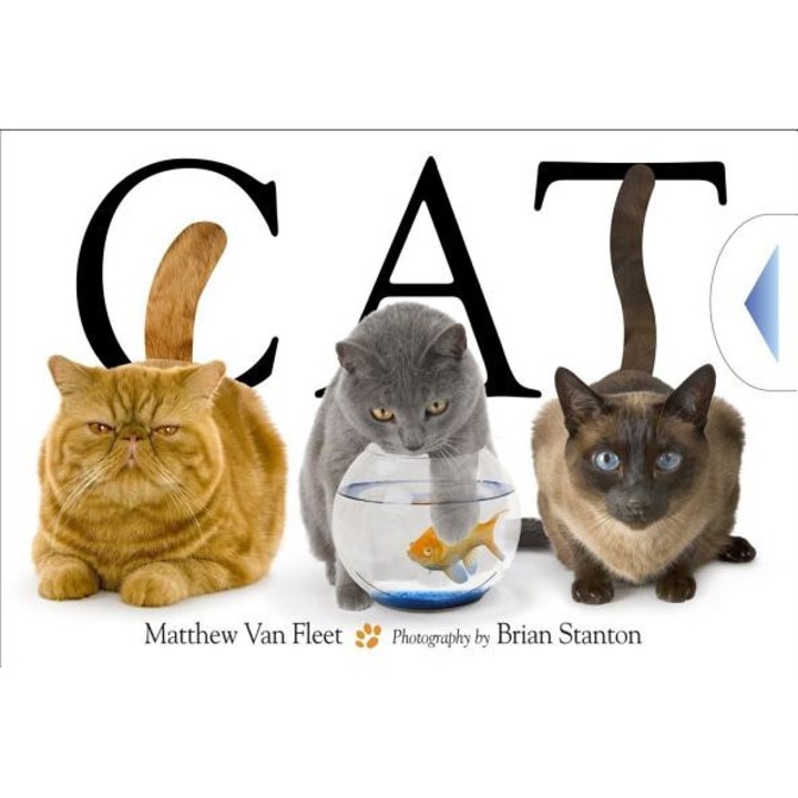 Cat, Matthew Van Fleet