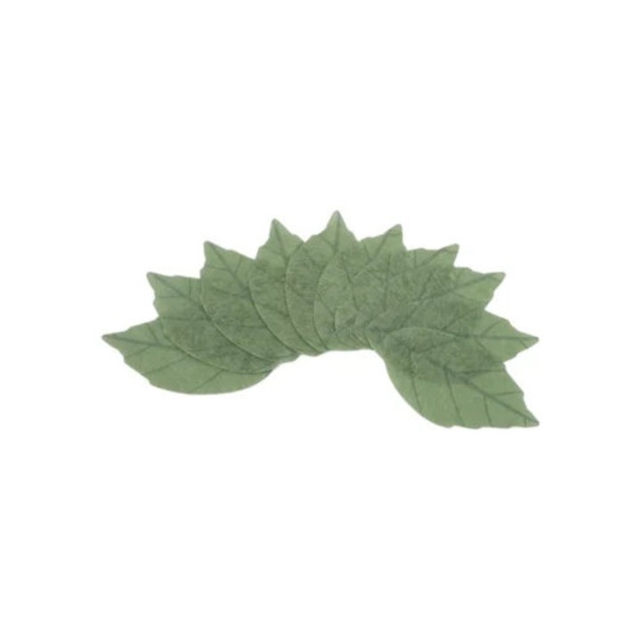 Set 10 masti de fata de unica folosinta pentru spa, salon si acasa